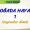 DOĞADA HAYAT – 1 / HAYVANLAR ALEMİ
