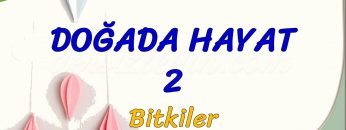 DOĞADA HAYAT – 2 / BİTKİLER