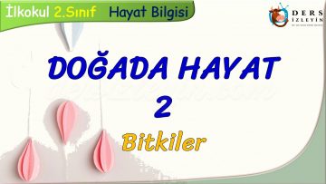 DOĞADA HAYAT – 2 / BİTKİLER