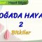 DOĞADA HAYAT – 2 / BİTKİLER
