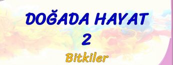 DOĞADA HAYAT – 2 / BİTKİLER