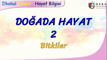 DOĞADA HAYAT – 2 / BİTKİLER