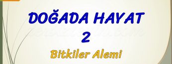 DOĞADA HAYAT – 2 / BİTKİLER ALEMİ