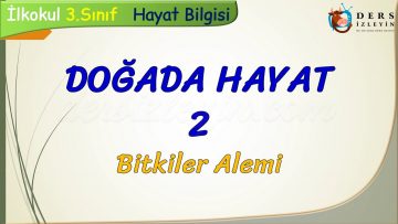 DOĞADA HAYAT – 2 / BİTKİLER ALEMİ