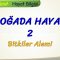DOĞADA HAYAT – 2 / BİTKİLER ALEMİ