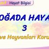 DOĞADA HAYAT – 3 / BİTKİ VE HAYVANLARI KORUYALIM