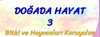 DOĞADA HAYAT – 3 / BİTKİ VE HAYVANLARI KORUYALIM