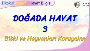 DOĞADA HAYAT – 3 / BİTKİ VE HAYVANLARI KORUYALIM