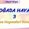 DOĞADA HAYAT – 3 / BİTKİ VE HAYVANLARI KORUYALIM