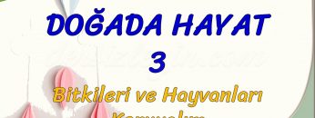 DOĞADA HAYAT – 3 / BİTKİLERİ VE HAYVANLARI KORUYALIM