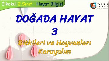 DOĞADA HAYAT – 3 / BİTKİLERİ VE HAYVANLARI KORUYALIM