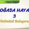 DOĞADA HAYAT – 3 / YÖNÜMÜZÜ BULUYORUZ