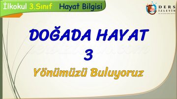 DOĞADA HAYAT – 3 / YÖNÜMÜZÜ BULUYORUZ
