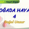 DOĞADA HAYAT – 4 / DOĞAL UNSUR