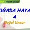 DOĞADA HAYAT – 4 / DOĞAL UNSUR