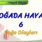 DOĞADA HAYAT – 6 / DOĞA OLAYLARI