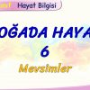 DOĞADA HAYAT – 6 / MEVSİMLER