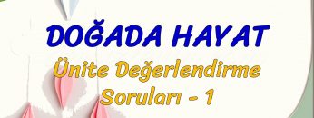 DOĞADA HAYAT / ÜNİTE DEĞERLENDİRME  SORULARI – 1