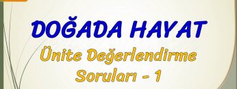 DOĞADA HAYAT / ÜNİTE DEĞERLENDİRME SORULARI – 1