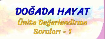 DOĞADA HAYAT / ÜNİTE DEĞERLENDİRME SORULARI – 1