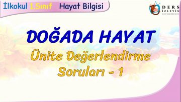 DOĞADA HAYAT / ÜNİTE DEĞERLENDİRME SORULARI – 1