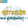 DOĞADAKİ ÜÇ UNSUR / BİTKİLER – SORU ÇÖZÜMLERİ -1 (TYT)