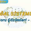 DOĞAL SİSTEMLER / SORU ÇÖZÜMLERİ – 2 (AYT)