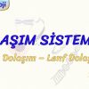 DOLAŞIM SİSTEMİ – 2 / KAN DOLAŞIMI   LENF DOLAŞIMI