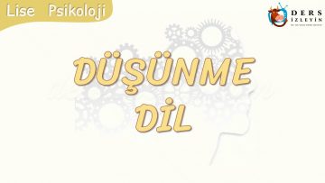 DÜŞÜNME VE DİL