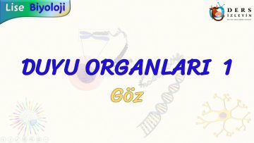 DUYU ORGANLARI – 1 / GÖZ