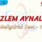 DÜZLEM AYNALAR / GELİŞTİRİCİ TEST – 1