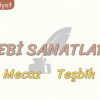 EDEBİ SANATLAR – 1 / MECAZ – TEŞBİH