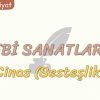 EDEBİ SANATLAR – 16 / CİNAS