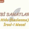 EDEBİ SANATLAR – 18 / NİDA – İRSAL-İ MESEL