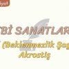 EDEBİ SANATLAR – 19 / TERDİD – AKROSTİŞ