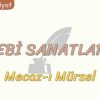 EDEBİ SANATLAR – 3 / MECAZ-I MÜRSEL