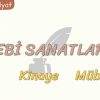 EDEBİ SANATLAR – 4 / TARİZ – KİNAYE – MÜBALAĞA
