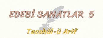 EDEBİ SANATLAR – 5 / TECAHÜL-Ü ARİF