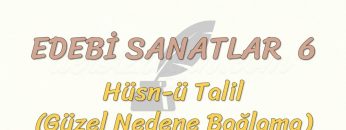 EDEBİ SANATLAR – 6 / HÜSN-Ü TALİL