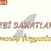 EDEBİ SANATLAR – 7 / TENASÜP