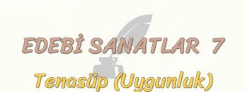 EDEBİ SANATLAR – 7 / TENASÜP