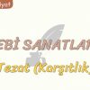 EDEBİ SANATLAR – 8 / TEZAT