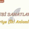 EDEBİ SANATLAR – 9 / TEVRİYE