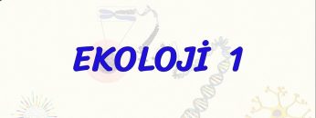 EKOLOJİ – 1