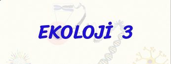 EKOLOJİ – 3