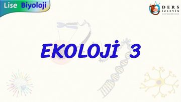 EKOLOJİ – 3