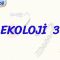 EKOLOJİ – 3