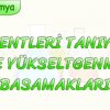 ELEMENTLERİ TANIYALIM VE YÜKSELTGENME BASAMAKLARI