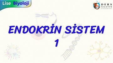 ENDOKRİN SİSTEM – 1