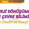 ENERJİ DÖNÜŞÜMLERİ VE ÇEVRE BİLİMİ – 1 / BESİN ZİNCİRİ VE ENERJİ AKIŞI